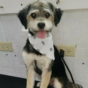 Meet your Posher, Krystah